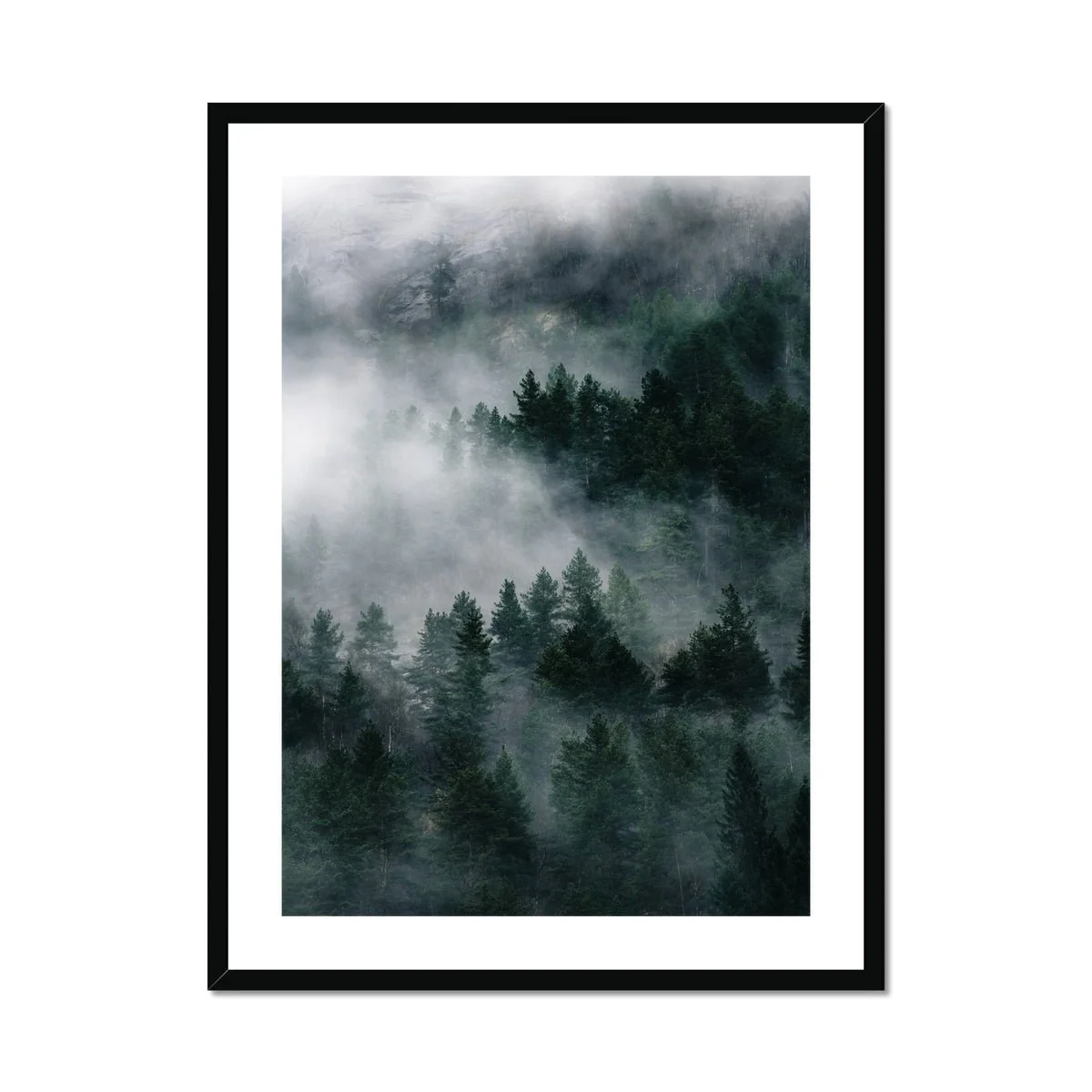 Into the Fog - Image 5