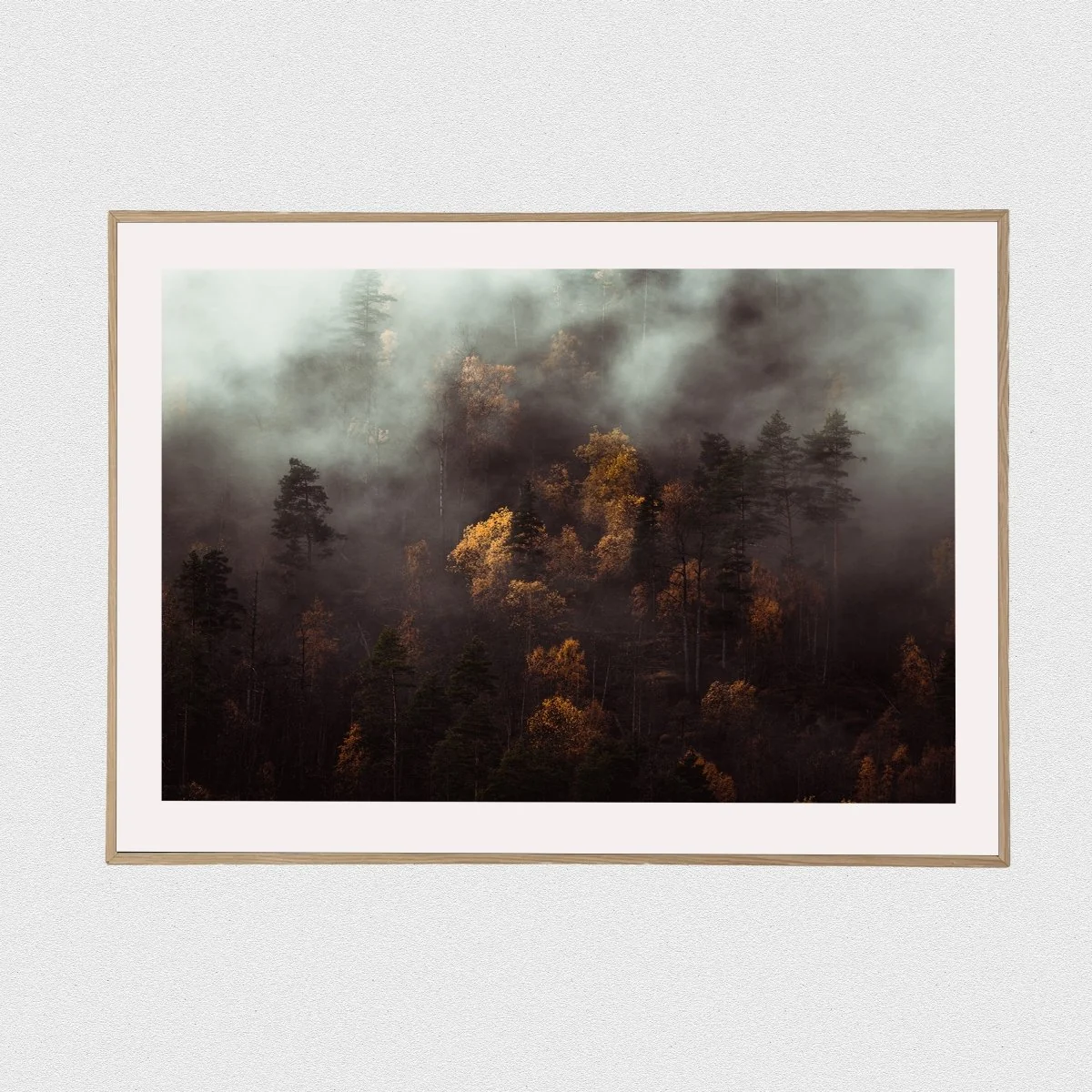 Seasons Changing - Image 4