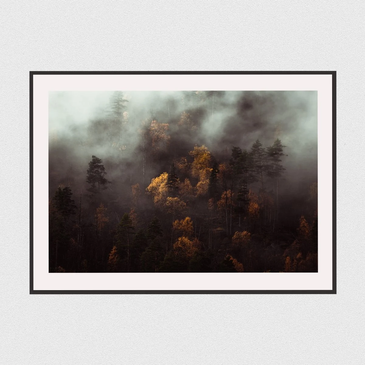 Seasons Changing - Image 7